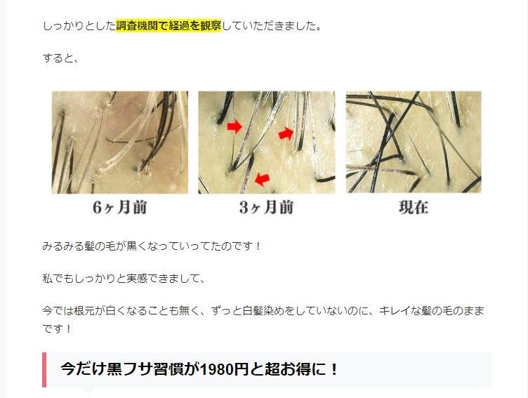 健幸生活研究社 黒フサ習慣ブラックマックスｓフェイク広告事件 犯行はいつから始まったのか ご協力お願いします 白髪の改善や予防防止と育毛 発毛を実現するラ フィーネ研究開発
